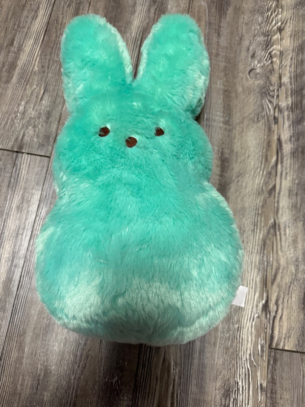 Peeps Plush Bunny Pillow in Mint Green